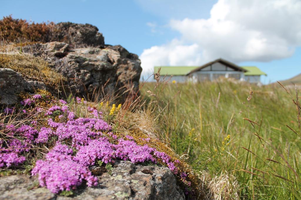 Hoemluholt Holiday Homes Exterior foto
